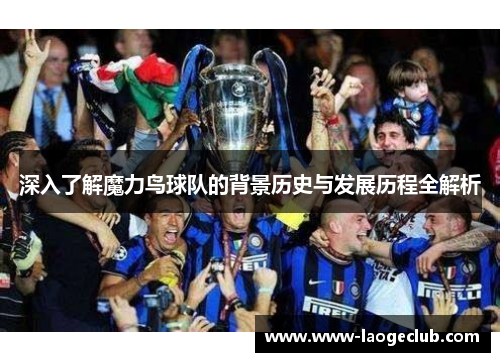 深入了解魔力鸟球队的背景历史与发展历程全解析