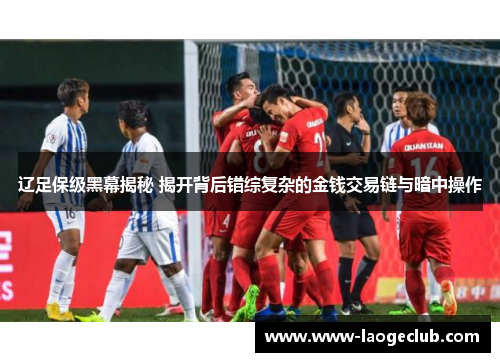辽足保级黑幕揭秘 揭开背后错综复杂的金钱交易链与暗中操作