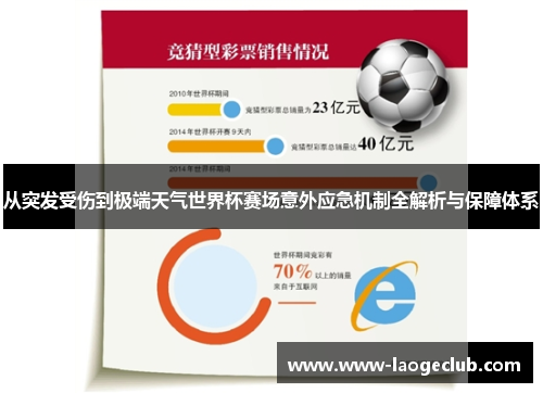 从突发受伤到极端天气世界杯赛场意外应急机制全解析与保障体系